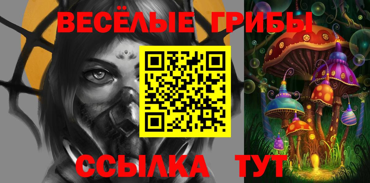 Галлюциногенные грибы Psilocybine cubensis  Вход с VPN  Тверь 